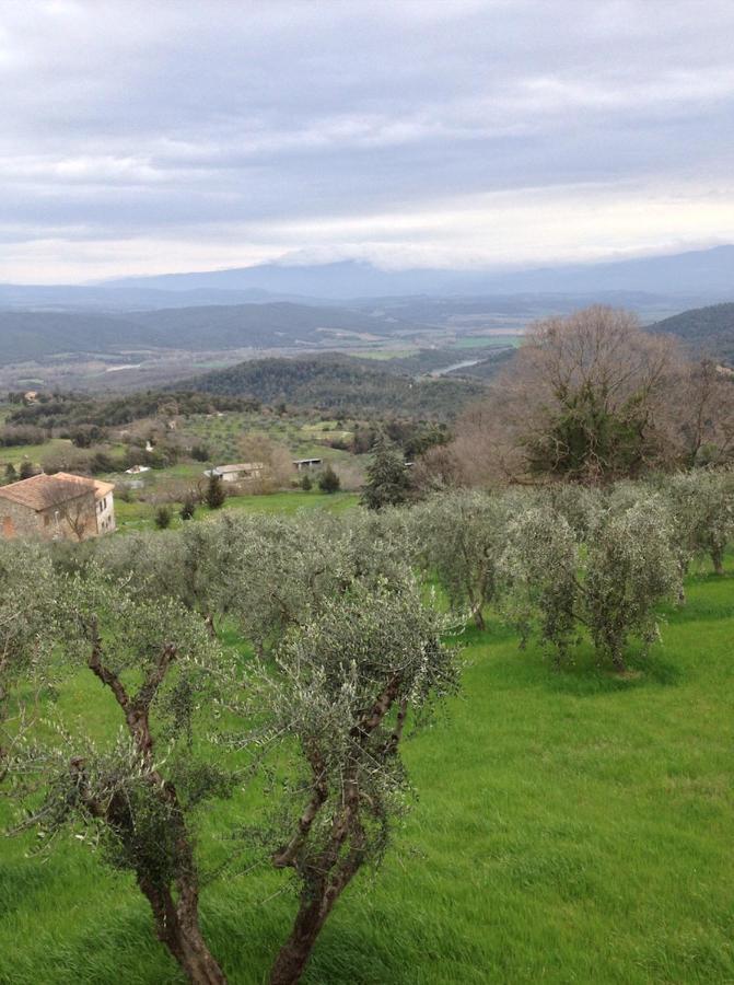 شقة Rosa Di Maggio باري المظهر الخارجي الصورة